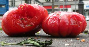 How to Stand Firm when the Rotten Tomatoes are Thrown