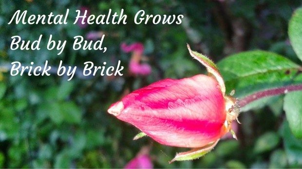 Mental Health Grows Bud by Bud, Brick by Brick