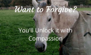Want to Forgive-compassion-mental-health