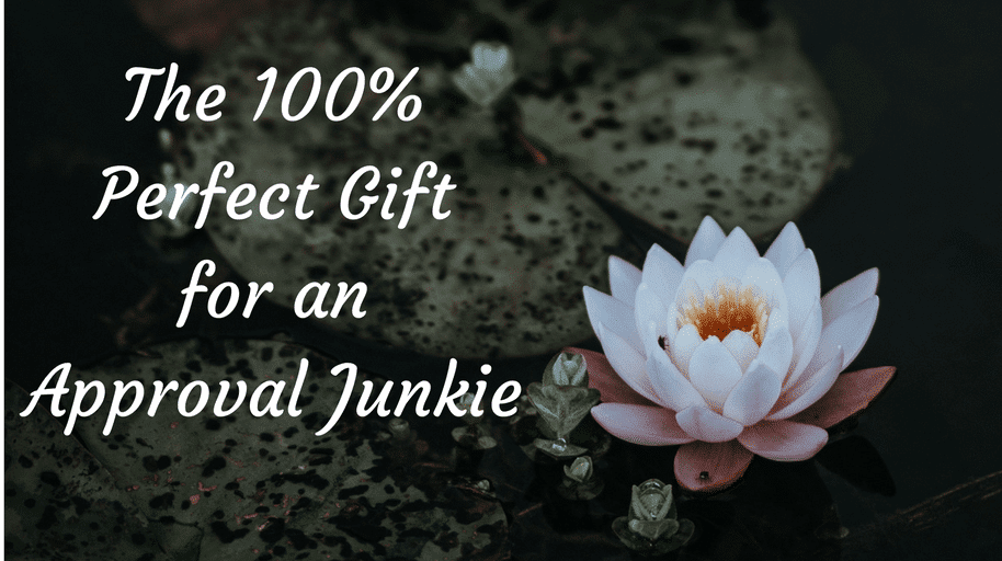 The 100% Perfect Gift for an Approval Junkie