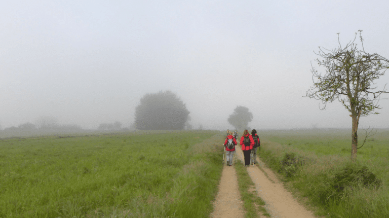 The Reason Why So People Walk the Camino de Santiago