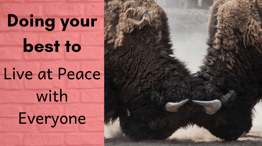 Doing Your Best to Live at Peace with Everyone