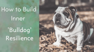 How to Build an Inner 'Bulldog' Resilience