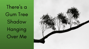 There's a Gum Tree Shadow Hanging Over Me light
