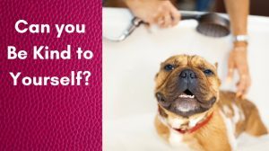 Can you Be Kind to Yourself rest