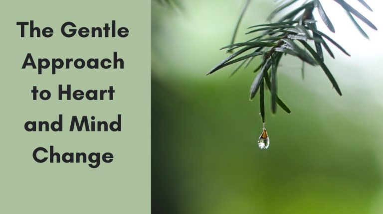 The Gentle Approach to Heart and Mind Change