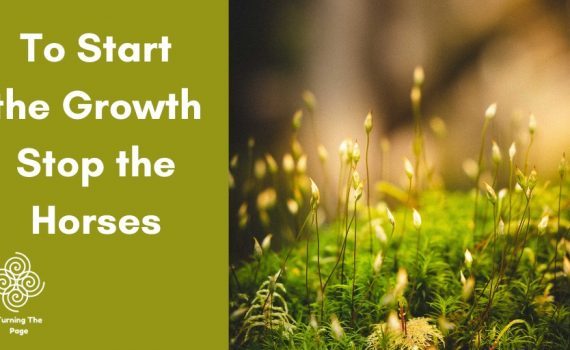 To Start the Growth Stop the Horses