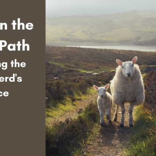 Am I on the Right Path hearing the Shepherd's Voice