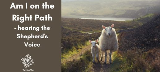 Am I on the Right Path hearing the Shepherd's Voice