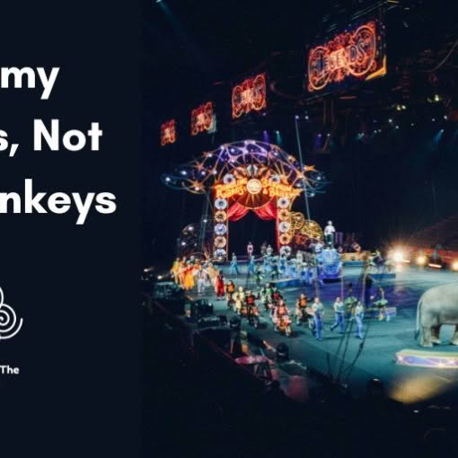 Not my Circus, Not my Monkeys