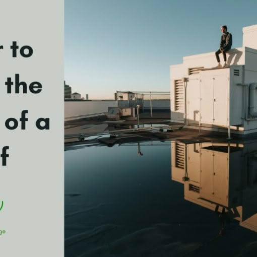 Better to Live in the Corner of a Roof