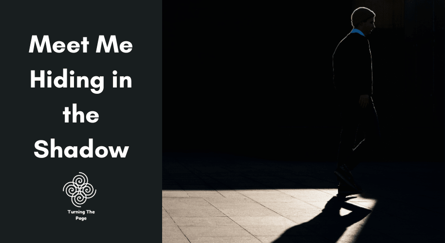 Meet Me Hiding in the Shadow