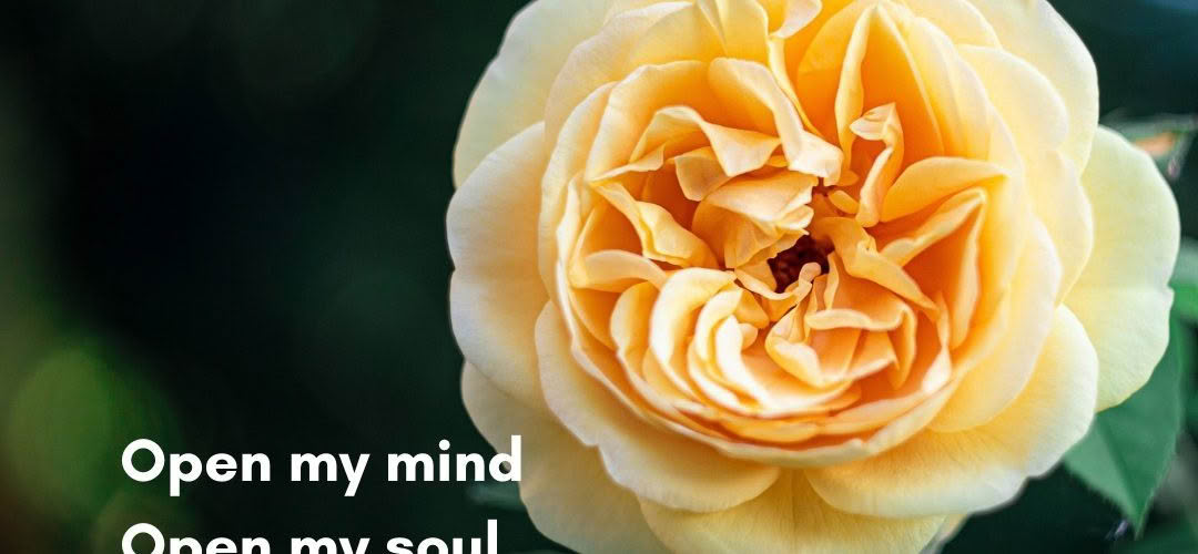 Open my mind Open my soul Open the hard places Buried under coal