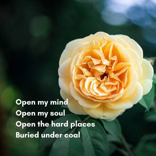 Open my mind Open my soul Open the hard places Buried under coal
