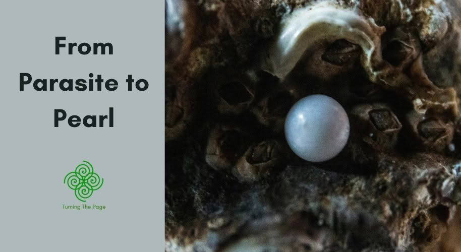 From Parasite to Pearl