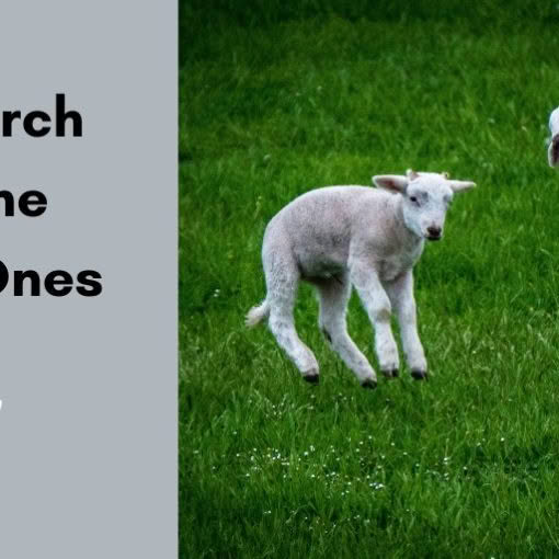A Church for the Little Ones