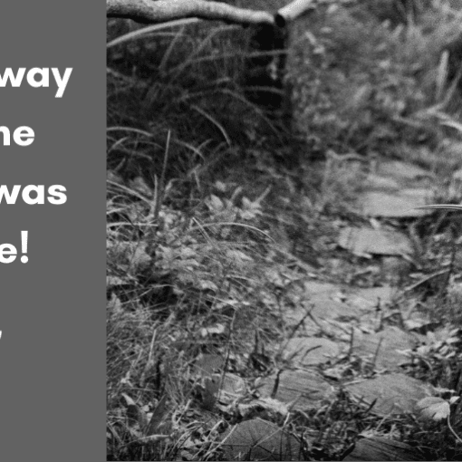 A Pathway No one Knew was There!