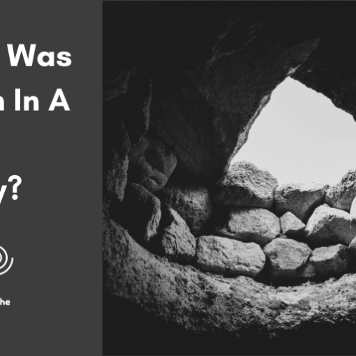 Joseph Was Thrown In A Pit. Why