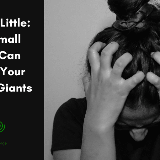 Little by Little How Small Steps Can Topple Your Biggest Giants