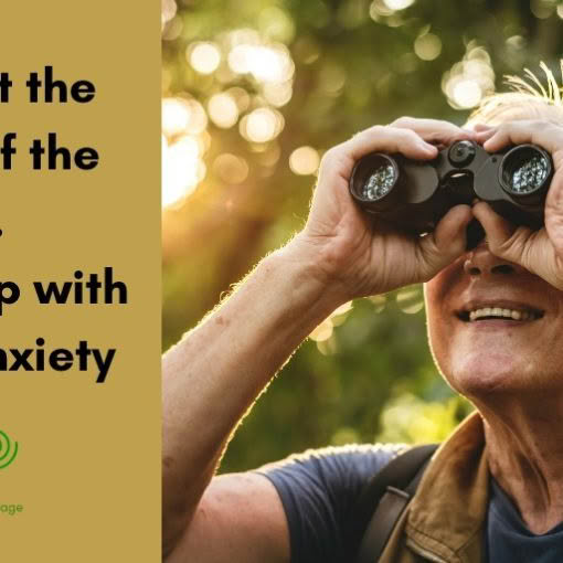 Look at the Birds of the Air. Help with Your Anxiety look-at-the-birds-matthew-6-26-nature-meditation