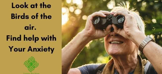 Look at the Birds of the Air. Help with Your Anxiety look-at-the-birds-matthew-6-26-nature-meditation