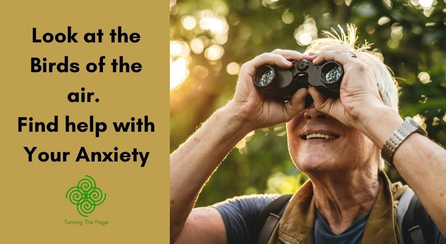 Look at the Birds of the Air. Help with Your Anxiety look-at-the-birds-matthew-6-26-nature-meditation