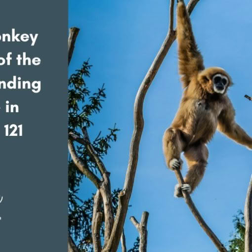 A chaotic circus ring with blurred movement representing the circus of anxious thoughts and a lack of control.