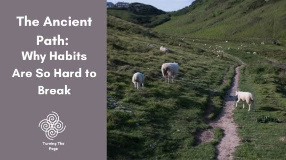 Title graphic reading 'The Ancient Path: Why Habits Are So Hard to Break' beside a photo of sheep grazing along a worn dirt path through green hillside pastures, with the 'Turning The Page' logo below.