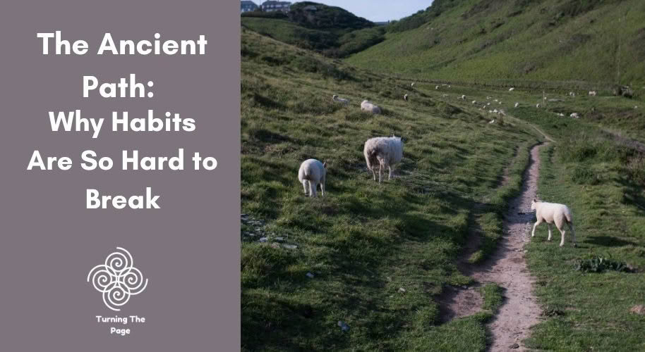 Title graphic reading 'The Ancient Path: Why Habits Are So Hard to Break' beside a photo of sheep grazing along a worn dirt path through green hillside pastures, with the 'Turning The Page' logo below.