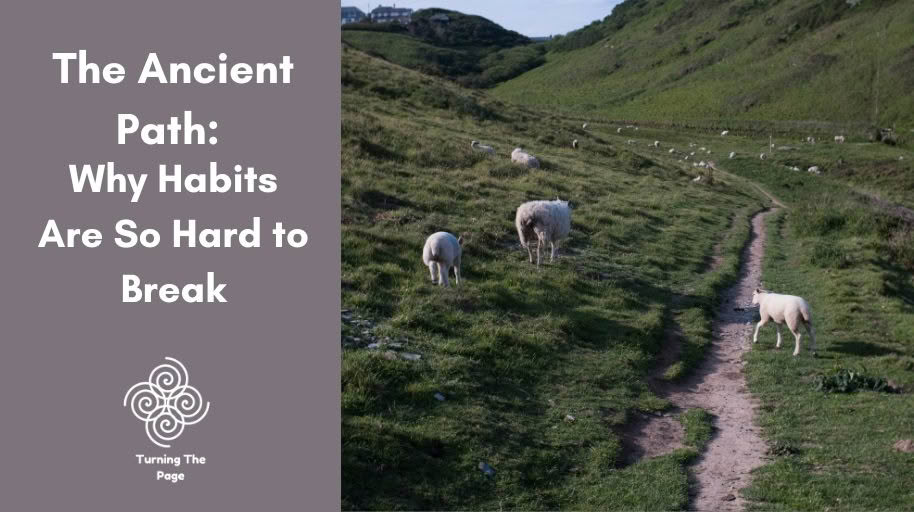 Title graphic reading 'The Ancient Path: Why Habits Are So Hard to Break' beside a photo of sheep grazing along a worn dirt path through green hillside pastures, with the 'Turning The Page' logo below.