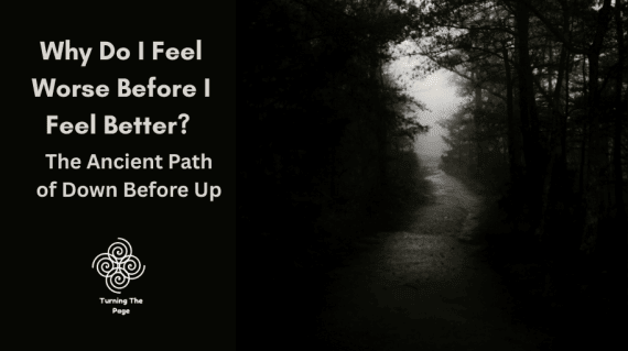 Foggy forest path — cover image for blog post on healing before growth