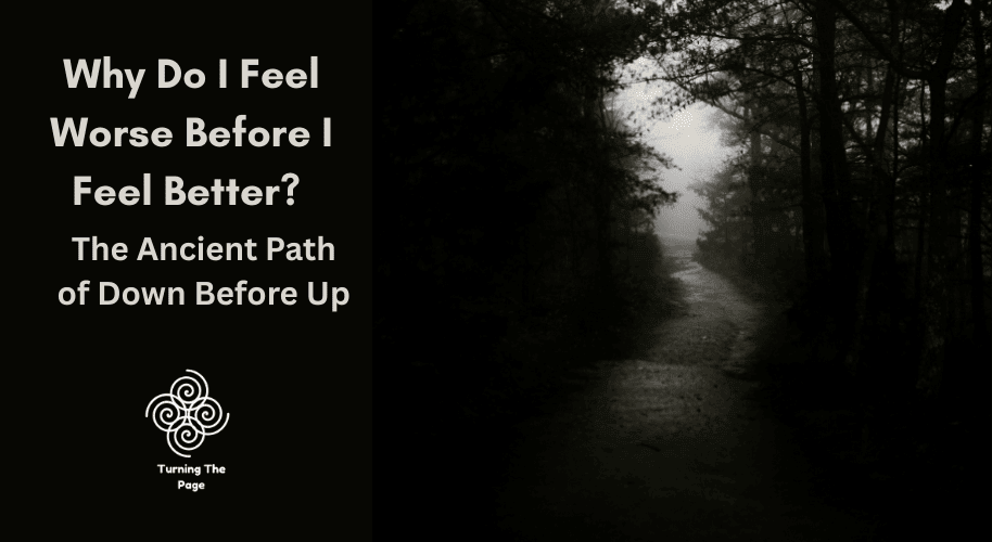 Foggy forest path — cover image for blog post on healing before growth
