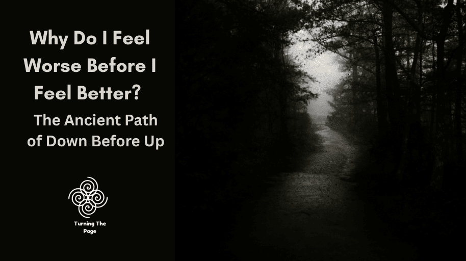 Foggy forest path — cover image for blog post on healing before growth