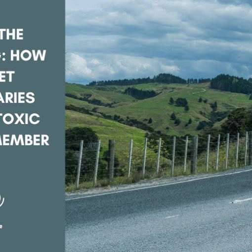 Blog header for "Stop the Dumping: How to Set Boundaries with a Toxic Family Member" by Turning The Page, showing a winding rural road bordered by a wire fence and rolling green hills.
