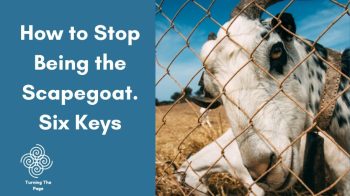 How to Stop Being the Scapegoat. Six Keys